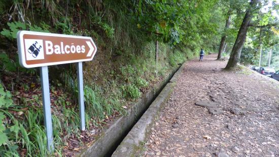 Percurso pedestre na Vereda dos Balces