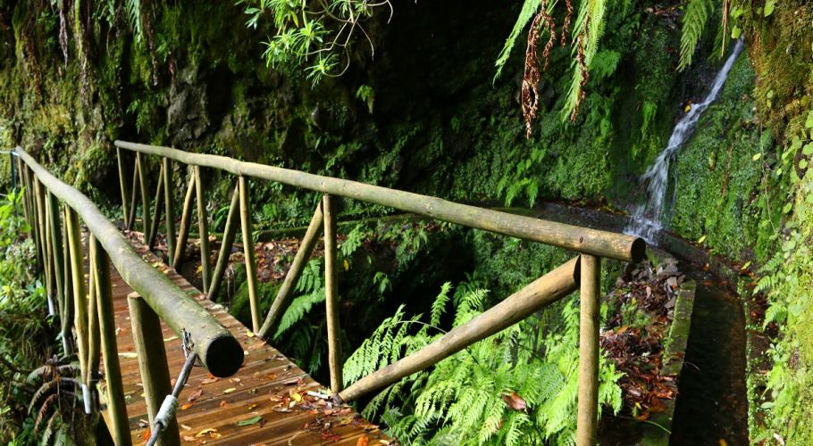 Percursos Pedestres Levada dos Cedros