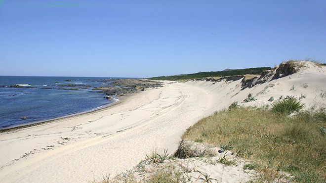 Praia da nsua