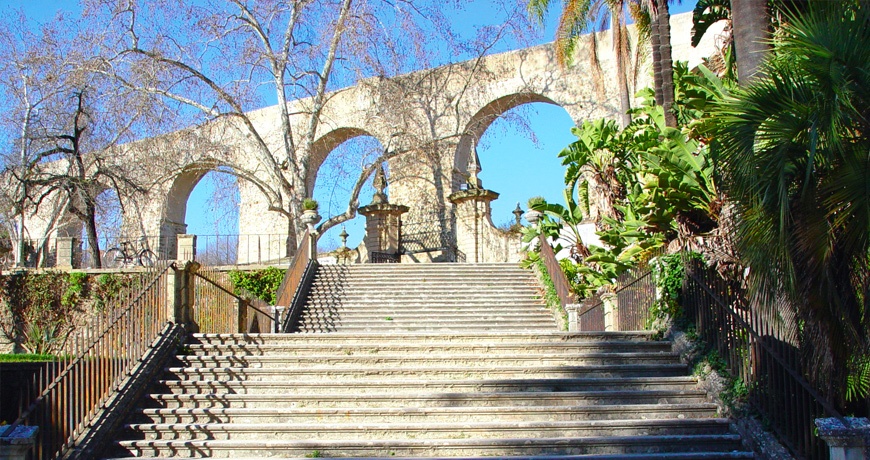 Jardim Bot�nico  da Cidade de Coimbra