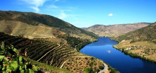 11 razões pelas quais o Douro é dos melhores destinos de Portugal