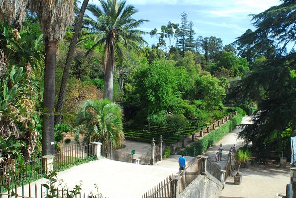 Os 10 melhores sitios para ver e visitar em Coimbra