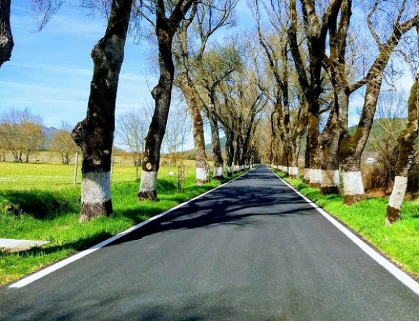 Fica a 150km de Lisboa a estrada mais bonita do Alentejo