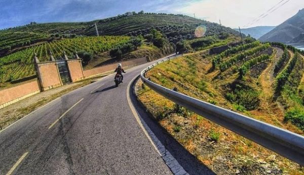 222 quilómetros as 93 curvas entre Régua e Pinhão foram eleitas a melhor do mundo